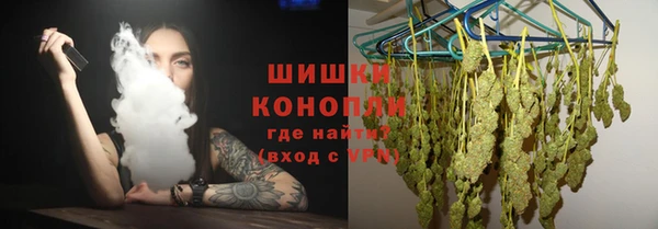 индика Володарск