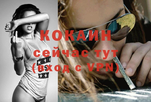 индика Володарск
