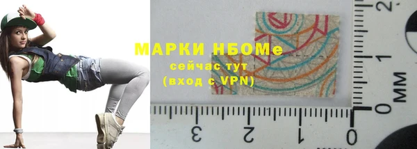 индика Володарск