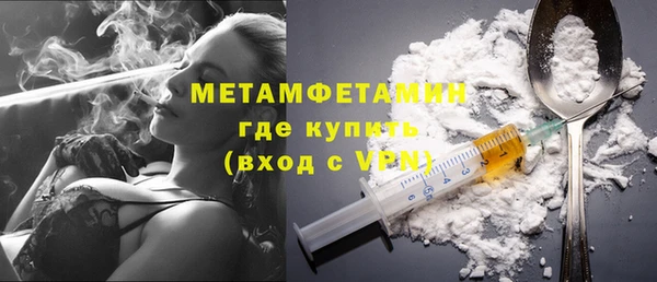 индика Володарск