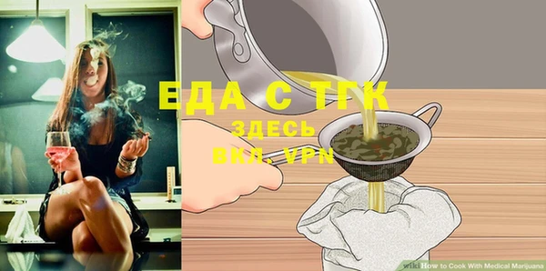 индика Володарск